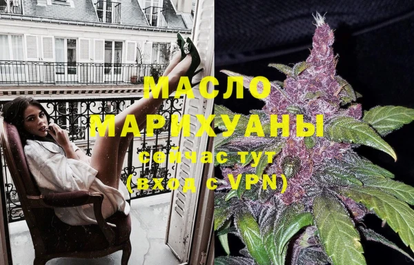 индика Верхний Тагил