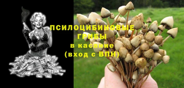 герыч Липки