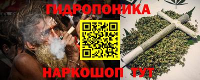 ГАЛЛЮЦИНОГЕННЫЕ ГРИБЫ Гусев