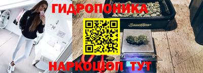 крисы Гусь-Хрустальный