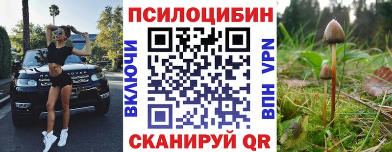 darknet состав  Дмитров  Галлюциногенные грибы мухоморы 