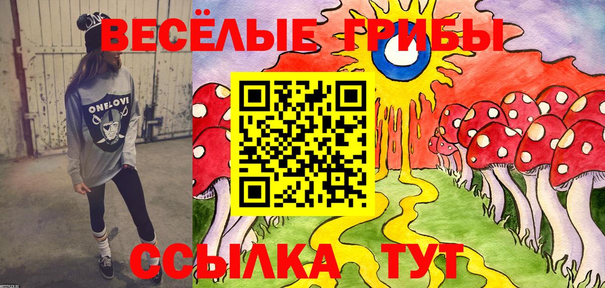 Псилоцибиновые грибы мицелий Дмитров